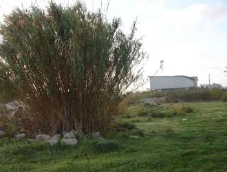 Land plot, Pyrgos