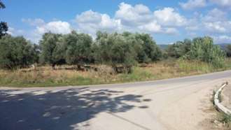 Plot, Kagkadi settlement, Achaia