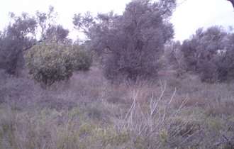 Land plot, Aigialeia, Achaia